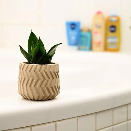 Apartamento Full House - Prime - Wifi Inkl Leipzig