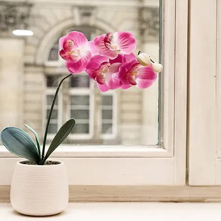 Full House - Prime - Wifi Inkl Apartamento *